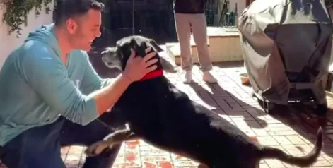 Tiziano Ferro adotta un cane. Il video